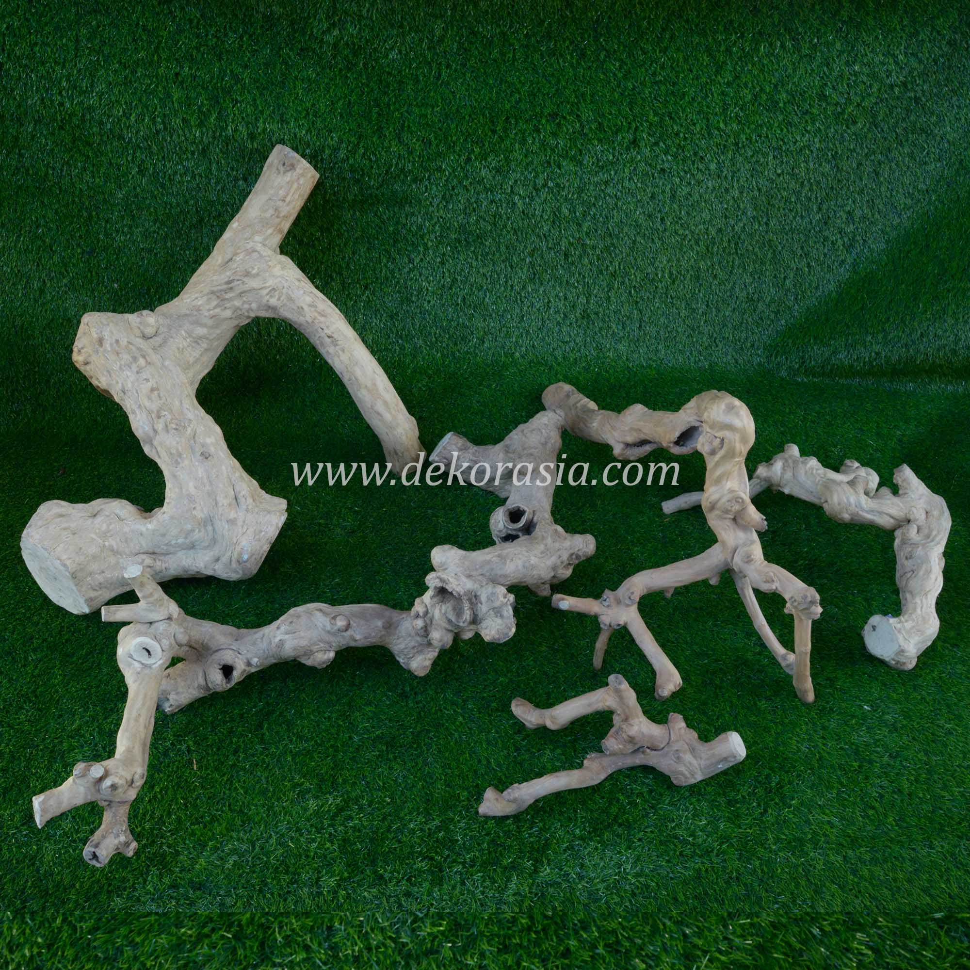 Coffee Root Wood (all Size) for Jungle Gym Reptile, Vivariums Reptile, Aquarium, Aquascaping, Coffee Root Decor Craft